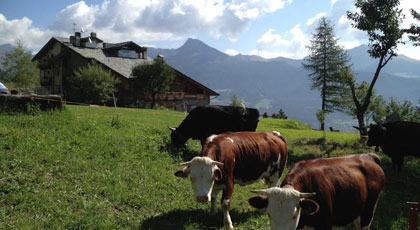 Hotel Caprice des Neiges